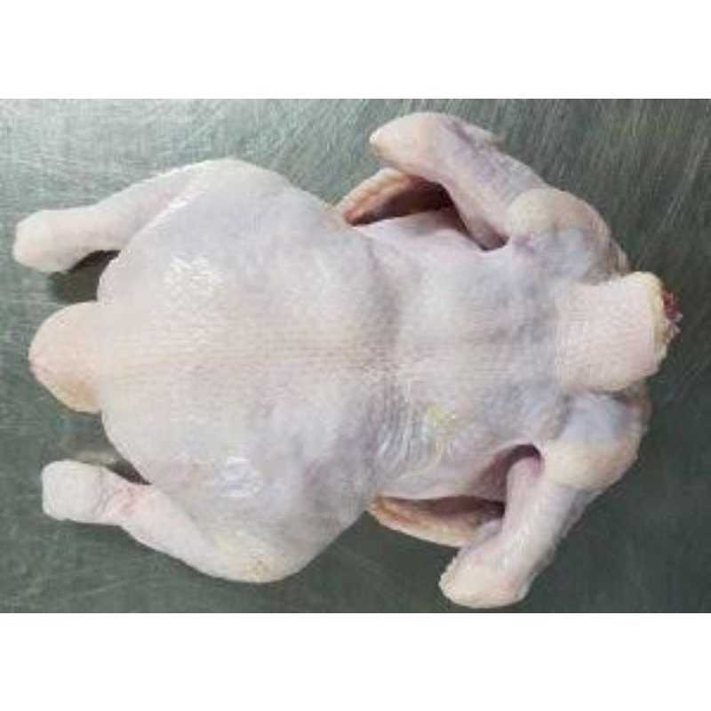 

Ayam Karkas Fresh / Frozen uk 1.0 - 1.5