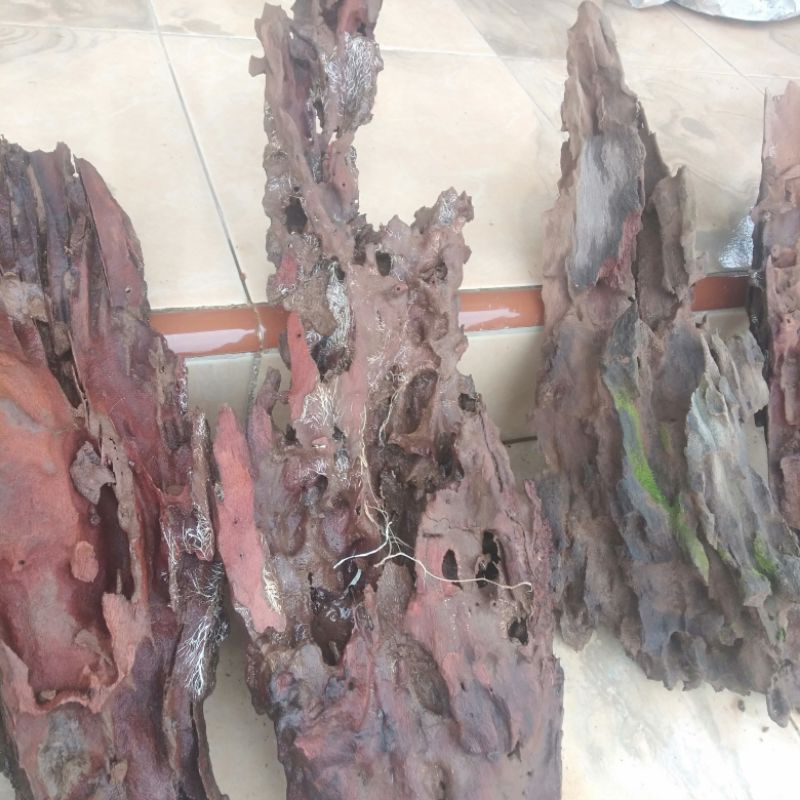 kayu rentek aquarium ukuran xl