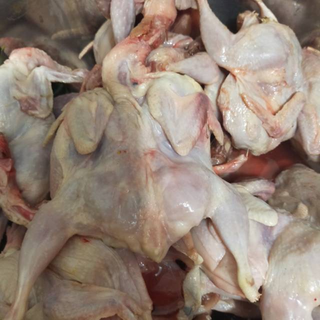 

Daging puyuh