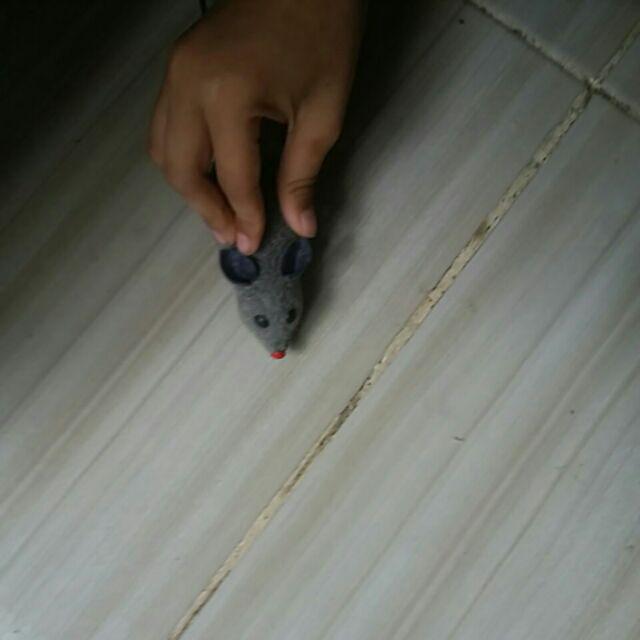  Mainan  Anak Robot Tikus Tikusan  Lari Prank Kucing  Anjing 