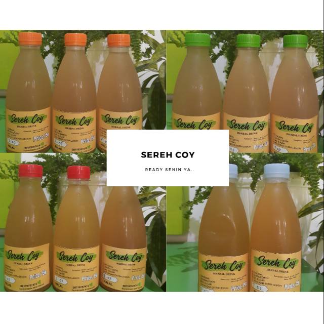

SerehCoy