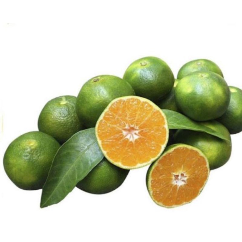 

jeruk peras garut 1kg