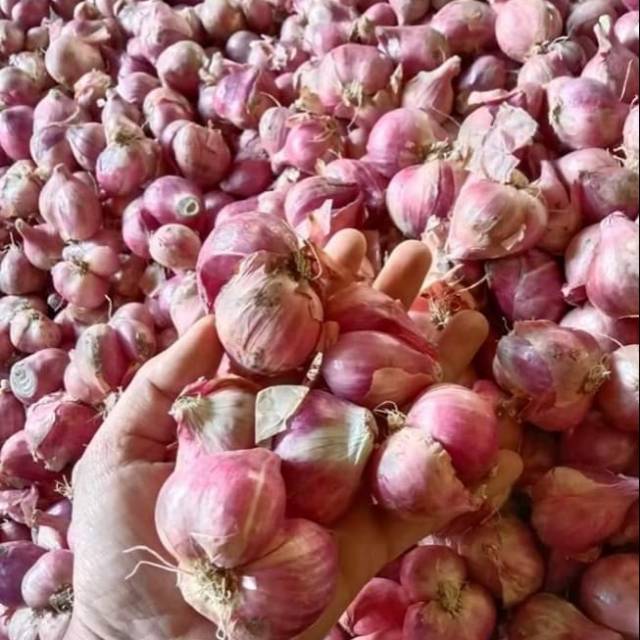 

Bawang merah Tulungagung 1kg