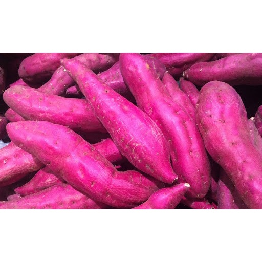 

Ubi ungu organik 1kg
