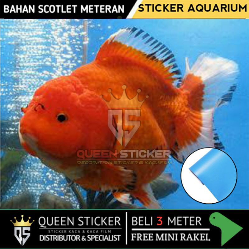 Stiker Background Aquarium Warna Biru Muda / Sticker Skotlet Akuarium