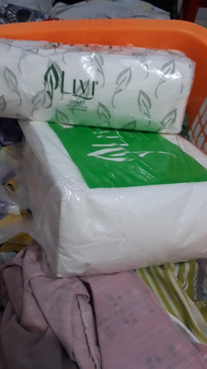 Hand Towel Tissue Livi  / Multifold