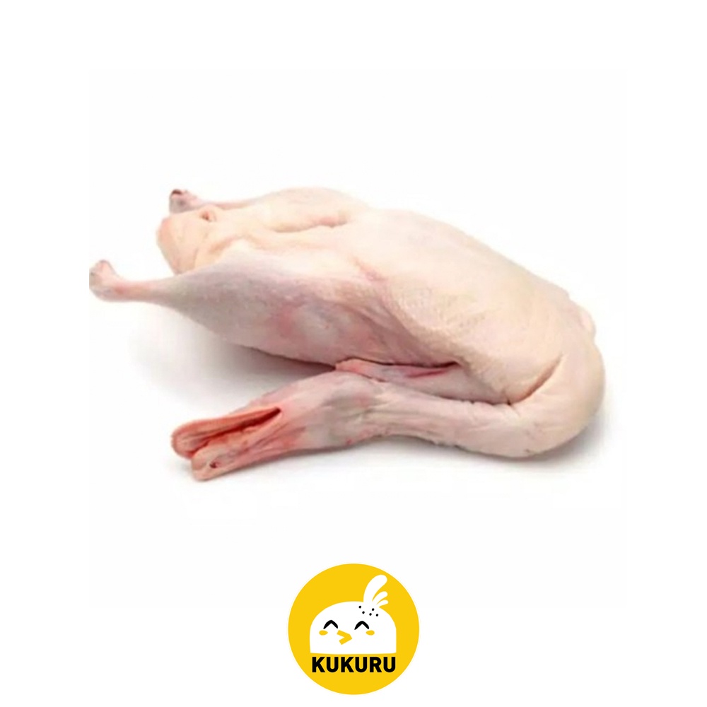 

BEBEK HIBRIDA UTUH UKURAN KECIL/SMALL 0,7-0,9 KG / HYBRID DUCK