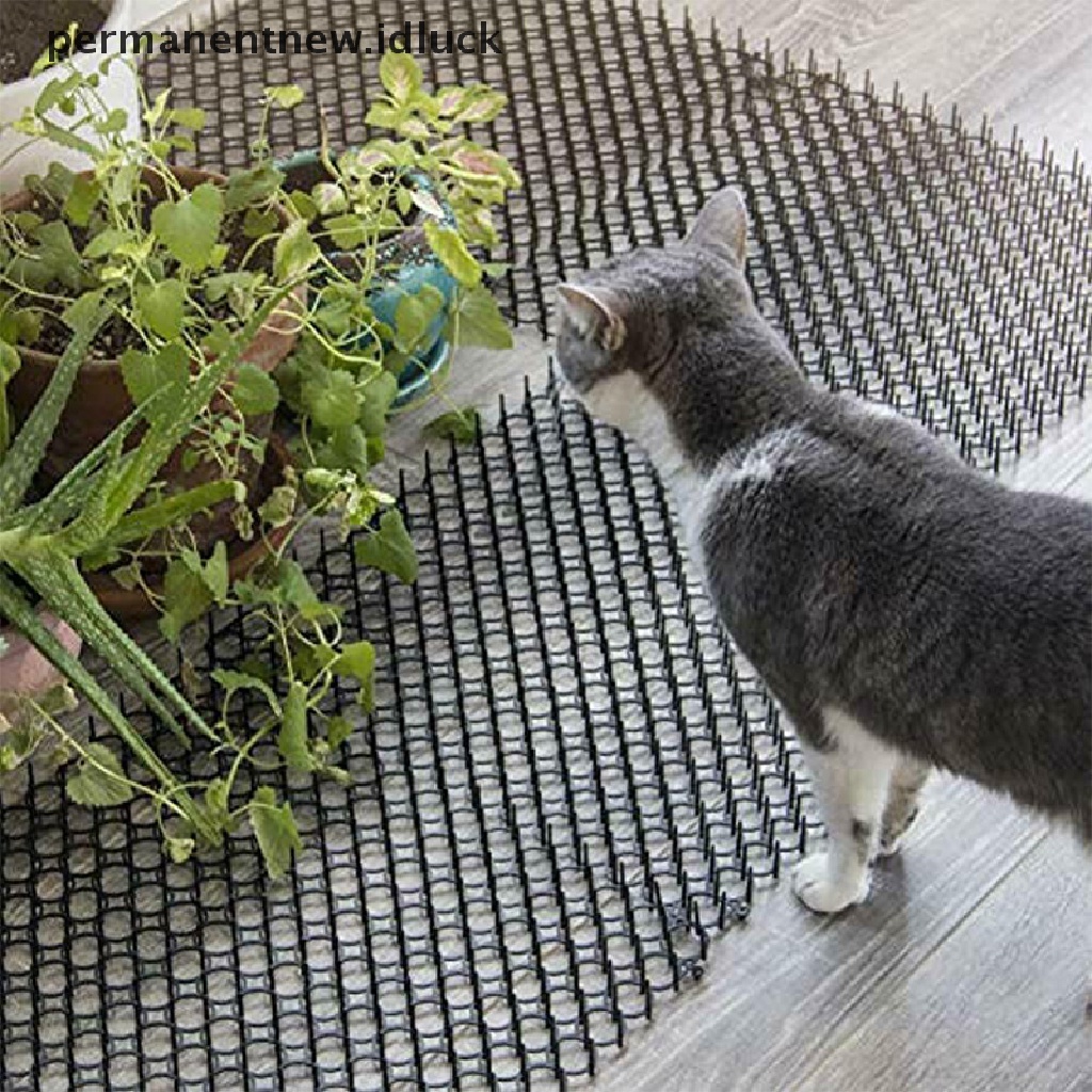 Tikar Paku Penggali Penolak Kucing Portabel Untuk Taman