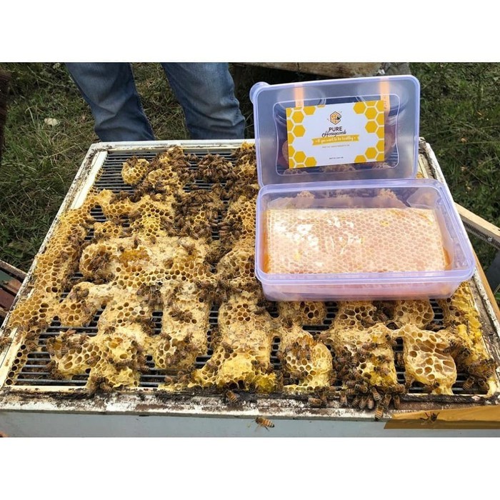 

Madu Pure Honeycomb Sarang Madu Asli 250gr