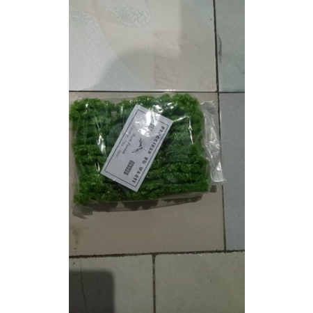 

rangginan ketan rasa pandan