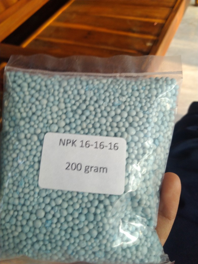 Paket Hemat Berkebun 25 Jenis Sayur Dan Buah