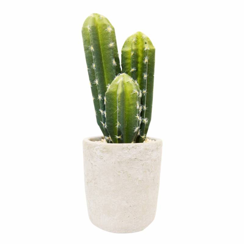 

JYSK Tanaman Hias Artificial Cactus PP02792 Green