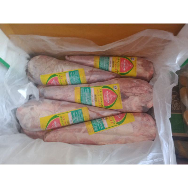 

Tenderloin India Import ( 31 ) / Buffalo meat / Daging Kerbau Beku Halal Tanpa Tulang / Frozen Food