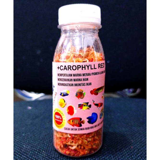 Makanan Ikan Udang Premium FISH LOVER ORIGINAL RED BLUE YELLOW UDANG BOTOL 30gr