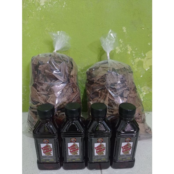 

Extract Daun Ketapang