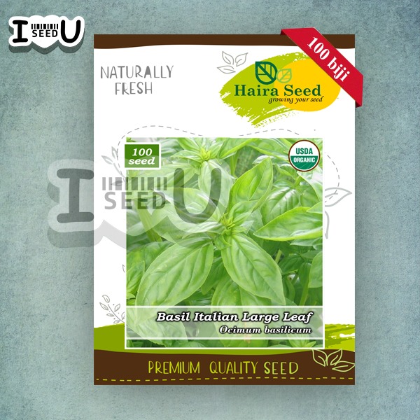 Haira Seed BIbit-Biji Basil Italian Large Leaf Organik