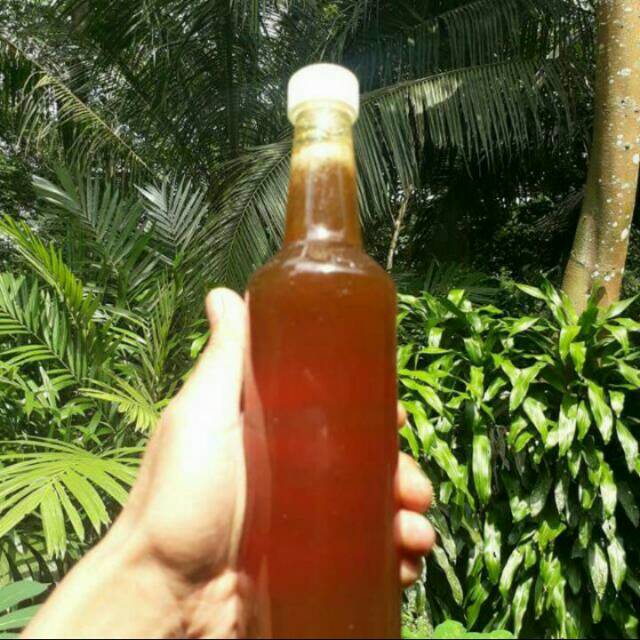 

Madu hutan baduy/odeng