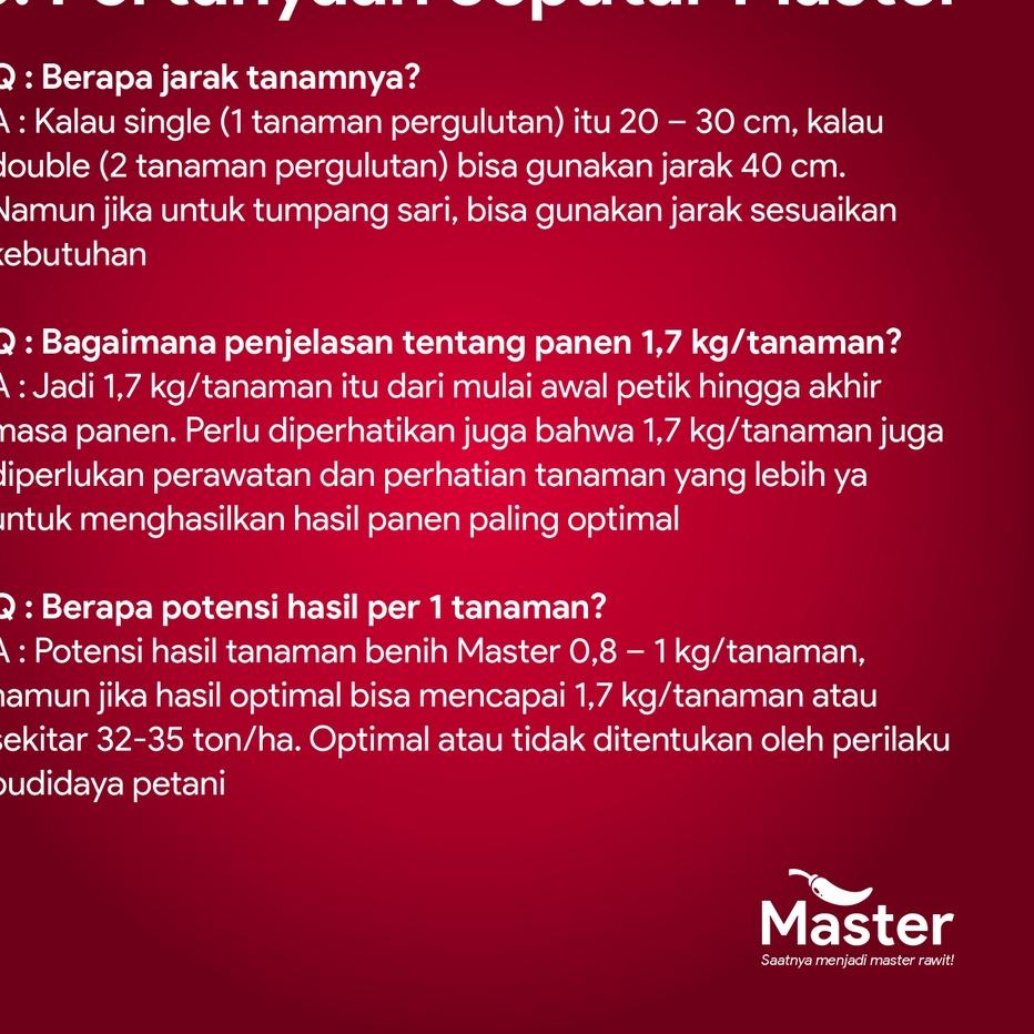 Keluaran Terbaru.. Benih Cabe Rawit - MASTER - 10 gr / bibit cabai lombok putih merah unggul kaliber