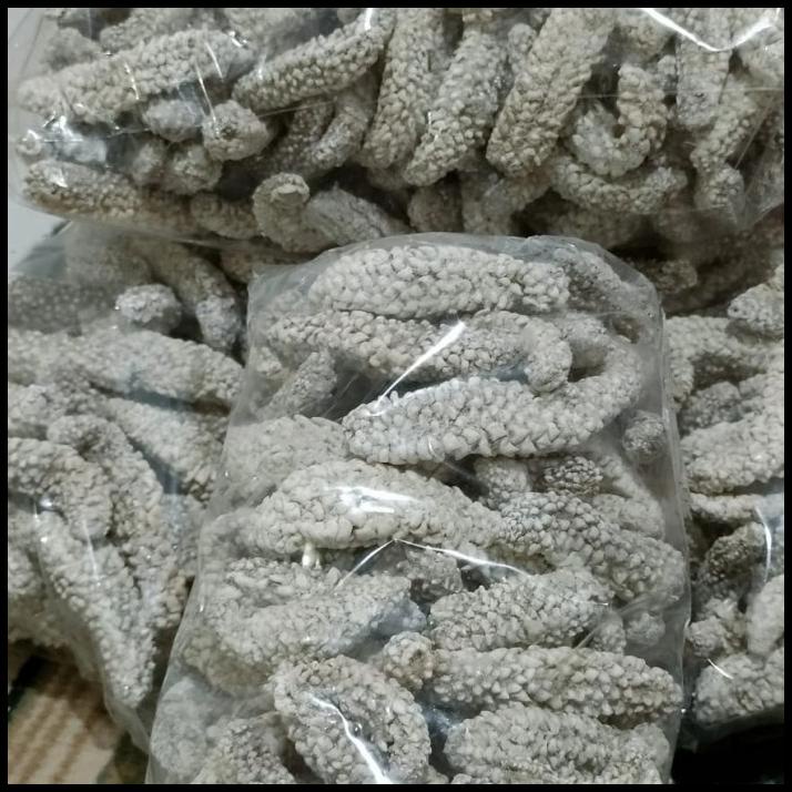 

Teripang Duri Parean Kering Laut Jawa