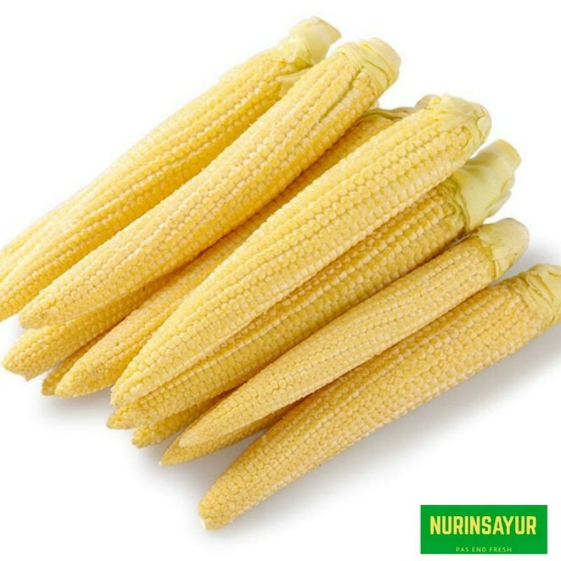 

Jagung beby/semi