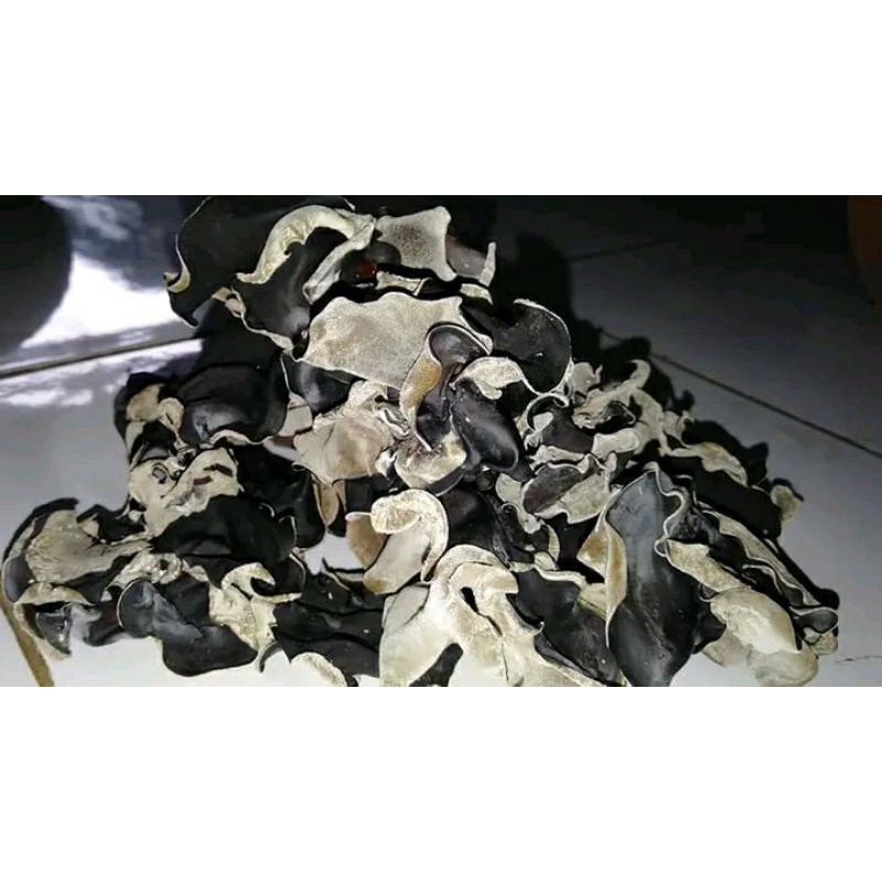 

Jamur Kuping Kering 100 gr Grade A Super /Jamur Hitam Kering 100 gr Sortir