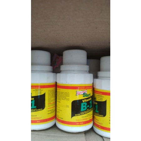 Vitamin B1 Untuk Tanaman hias agloenema / aglonema hiasan taman