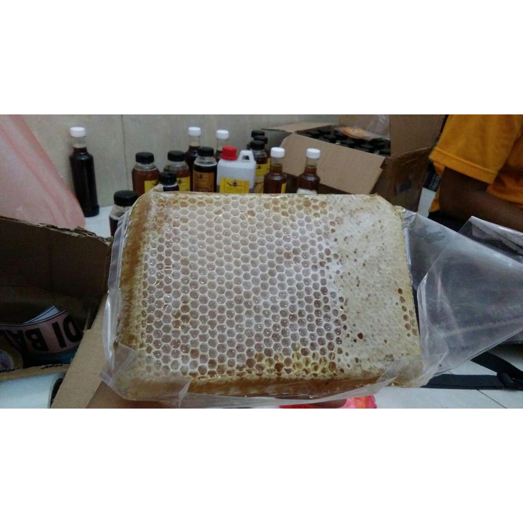 

MADU SARANG MELIFERA / SARANG MADU ASLI MURNI HUTAN LIAR PER BOX / MADU SARANG MELIFERA SARANG MADU