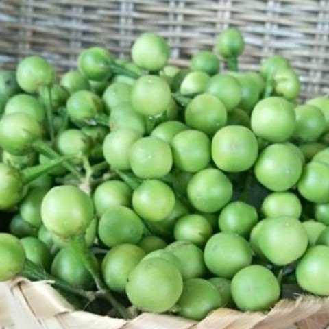 200gr BUAH TAKOKAK Buah CEPOKAK buah takokak cepokak