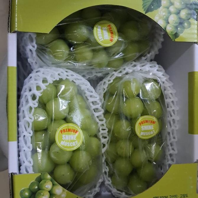 

ANGGUR SHINE MUSCAT KOREA ORIGINAL 1KG / PACK FH51515ED