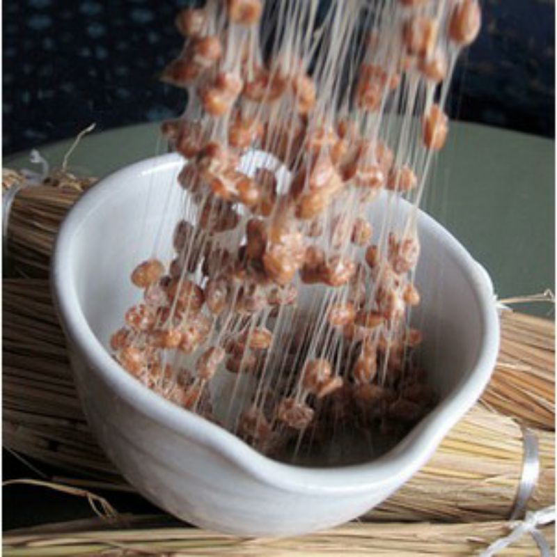 BIBIT BAKTERI Bacillus subtilis natto untuk membuat natto makanan jepang