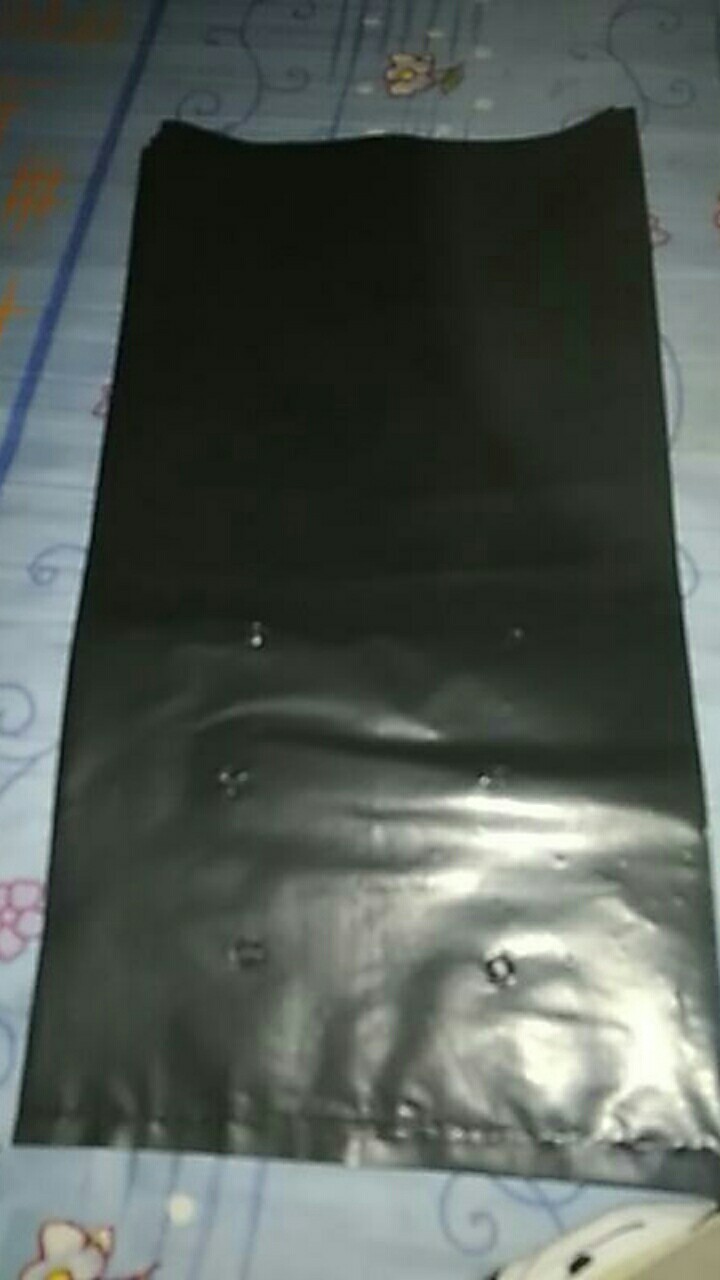 Polybag Polibek Polybeg 40x40 Cm Per Lembar