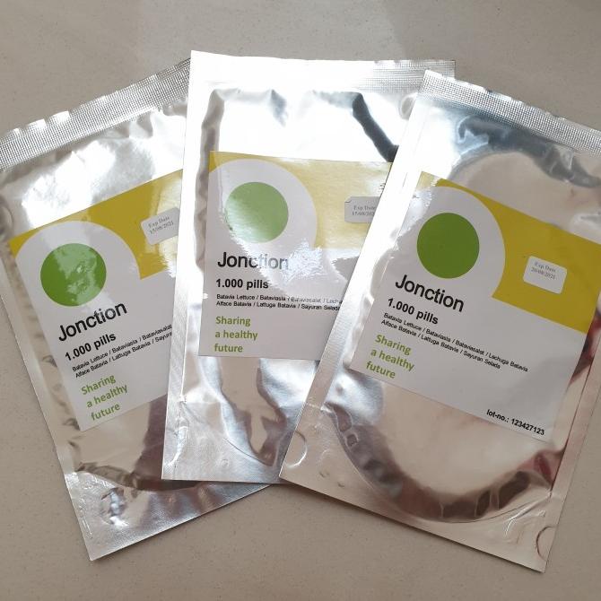 Benih Jonction Rz Jonction Selada Batavia (1000 Seeds) Kode 588