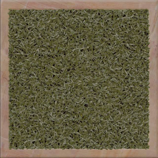 KERAMIK LANTAI KIA RUMPUT COLONY GREEN HD 30X30 KW1