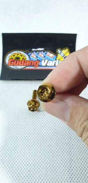 Baut Probolt Minyak master rem Heng flower 2 biji