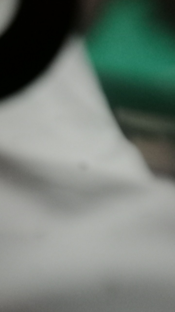 Alat Sedot Madu Trigona