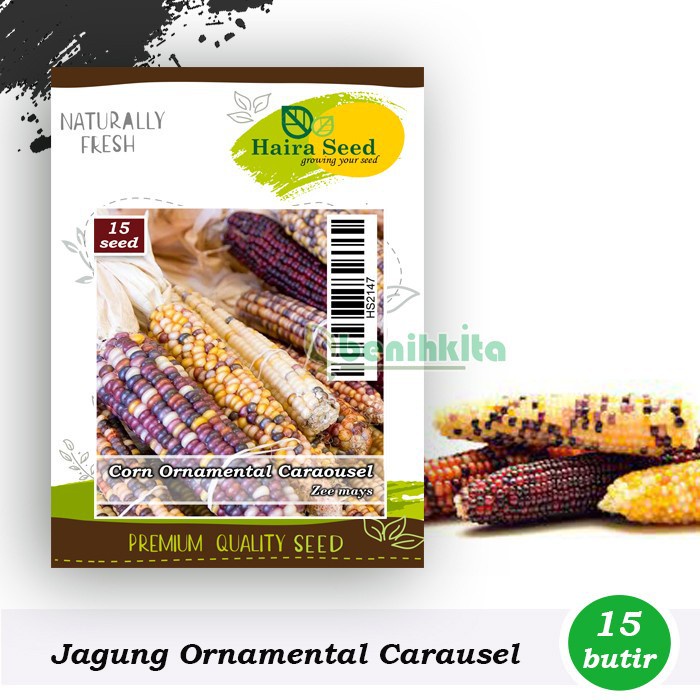 Benih-Bibit Jagung Ornamental Carousel (Haira Seed)