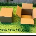 

kardus 10x10x10