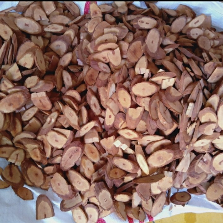 

Kayu Bajakah Kering 50 gram