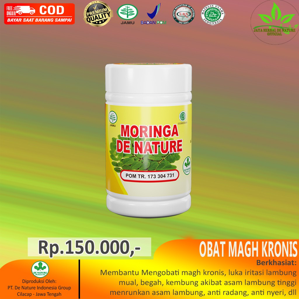 Moringa Obat mual magh kronis Gerd Asam Lambung luka nyeri radang lambung dan usus asli