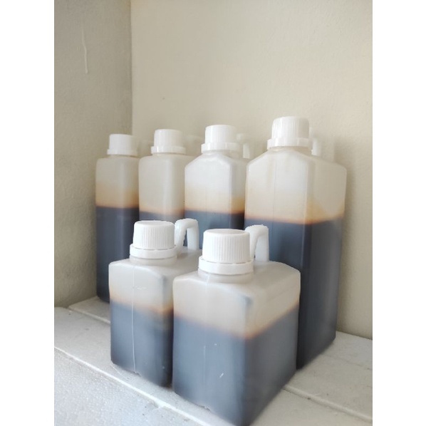 

madu hutan akasia riau