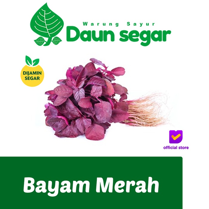 

Bayam / bayem Merah fresh Per ikat besar