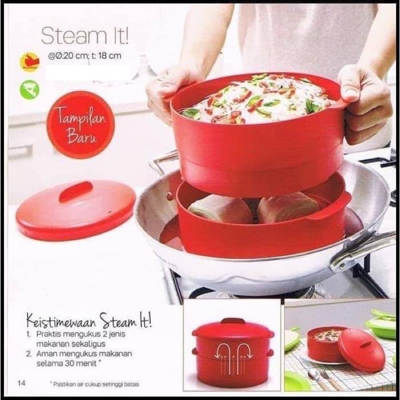 TUPPERWARE STEAM IT