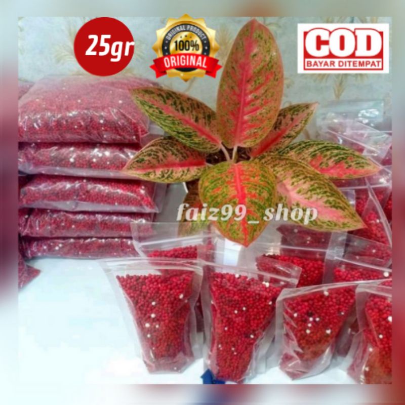 0SLOW RELEASE MERAH/SK COTE/Pupuk Merah/Pupuk sr/Pupuk tanaman hias/