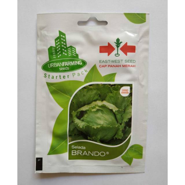 Benih Biji Selada Hijau Brando - Panah Merah - Mini Pack