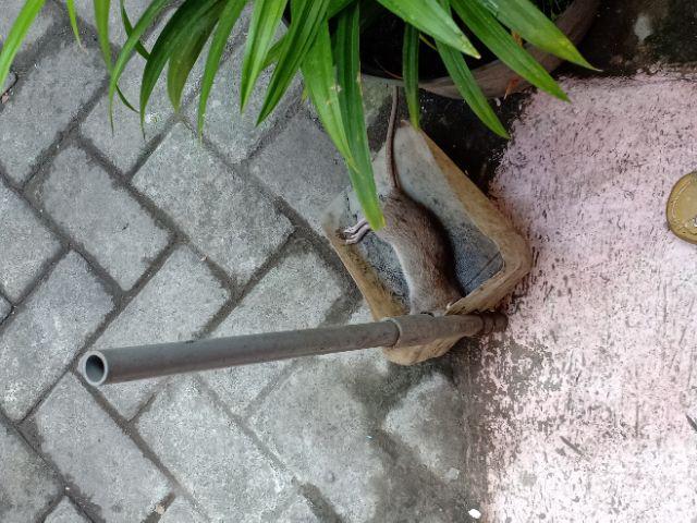 Racun Tikus Mao Wang Maowang