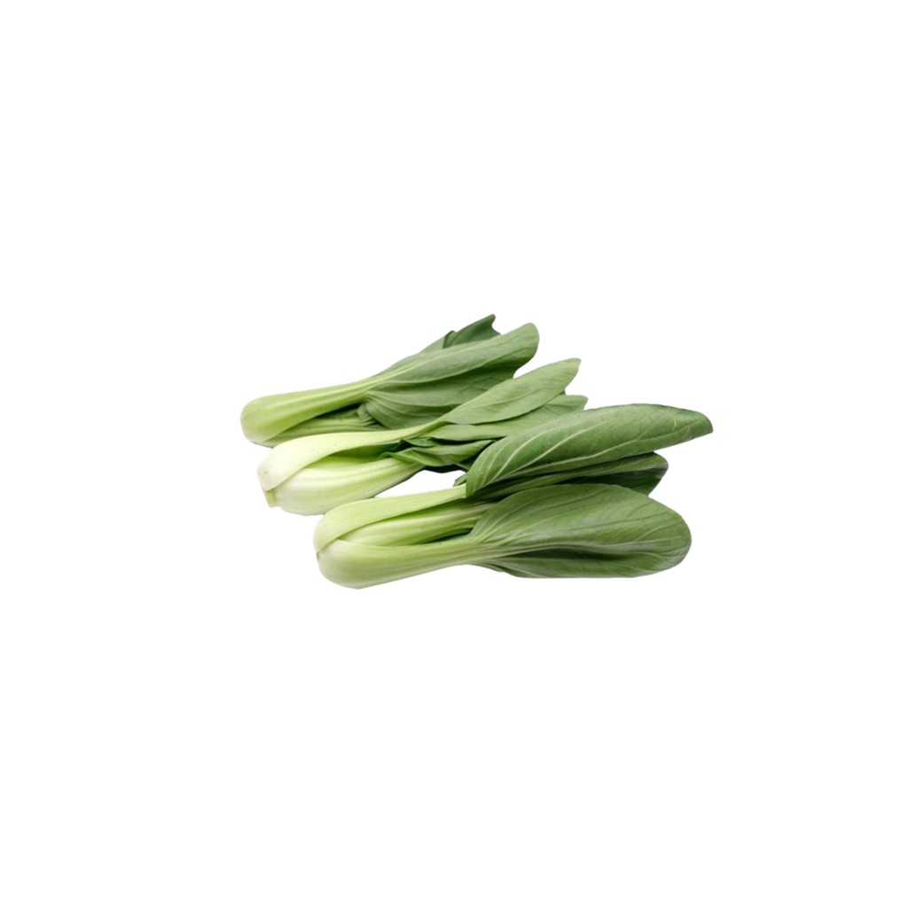 

SAYUR ORGANIK Baby Pakcoy