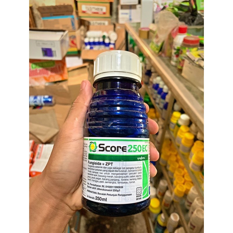 Fungisida + ZPT Score 250EC 250 ml