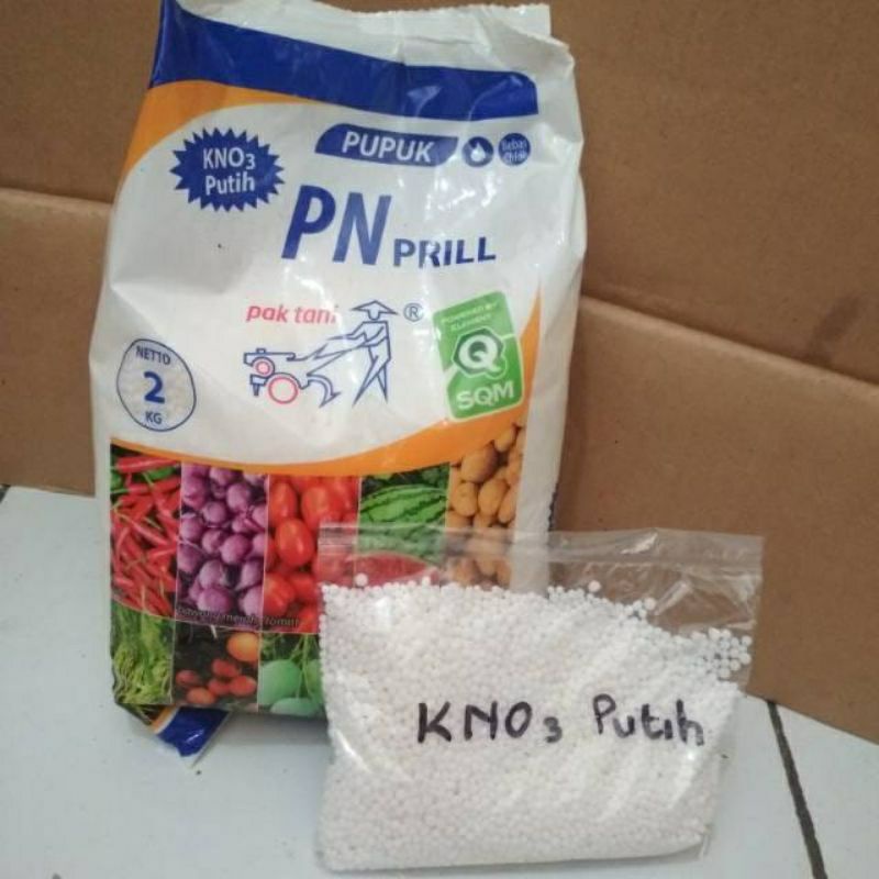 pupuk penyubur pelebar daun akar kno 03 putih ukuran 250 g