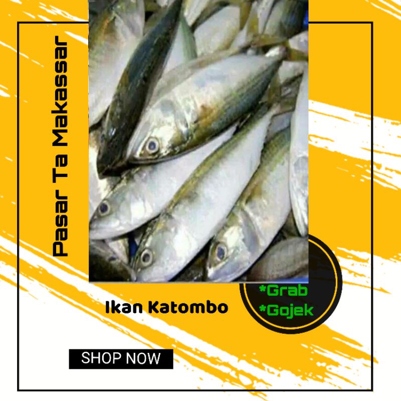 

ikan Katombo isi 3 ekor atau lebih / ikan kembung / Pasar Ta Makassar