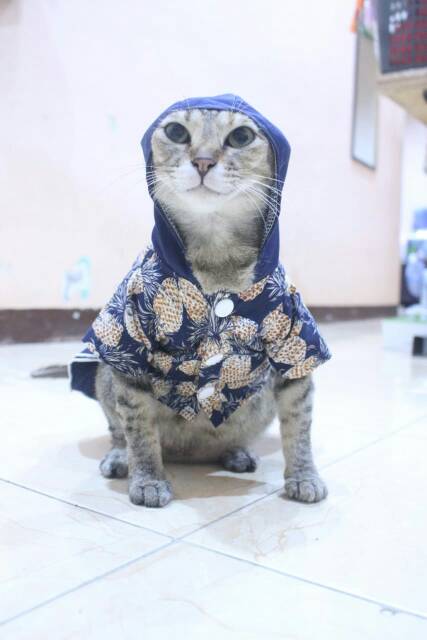 Dress buah model hoodie lucu untuk kucing dan anjing / baju kucing tangerang murah size S M L XL